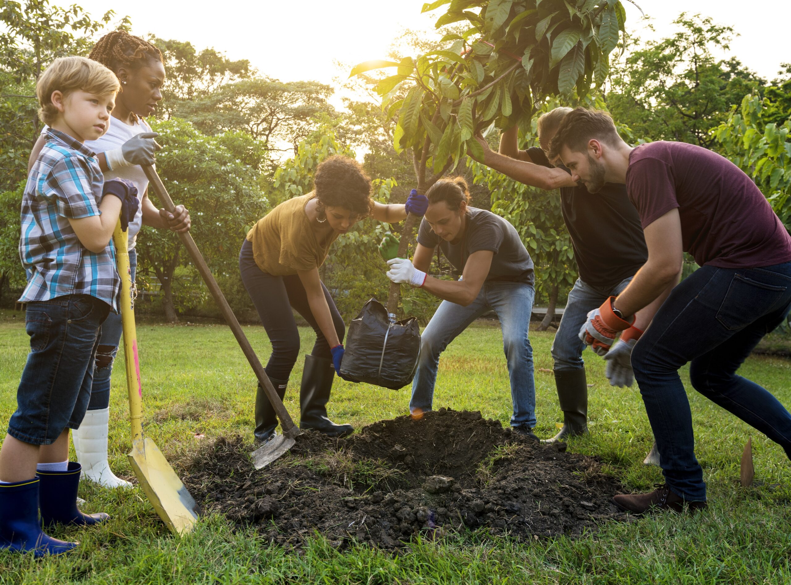 group of people planting a tree; good neighbors